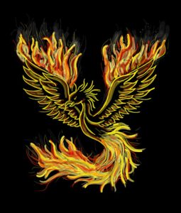 phoenix-1440452_960_720