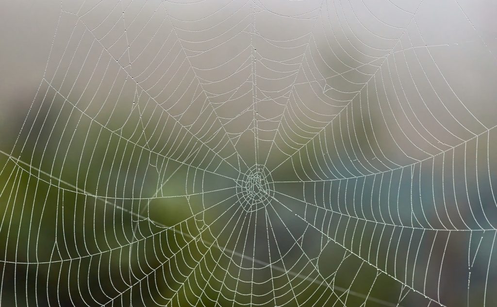 Conflict Leadership - web describing the idea of systems